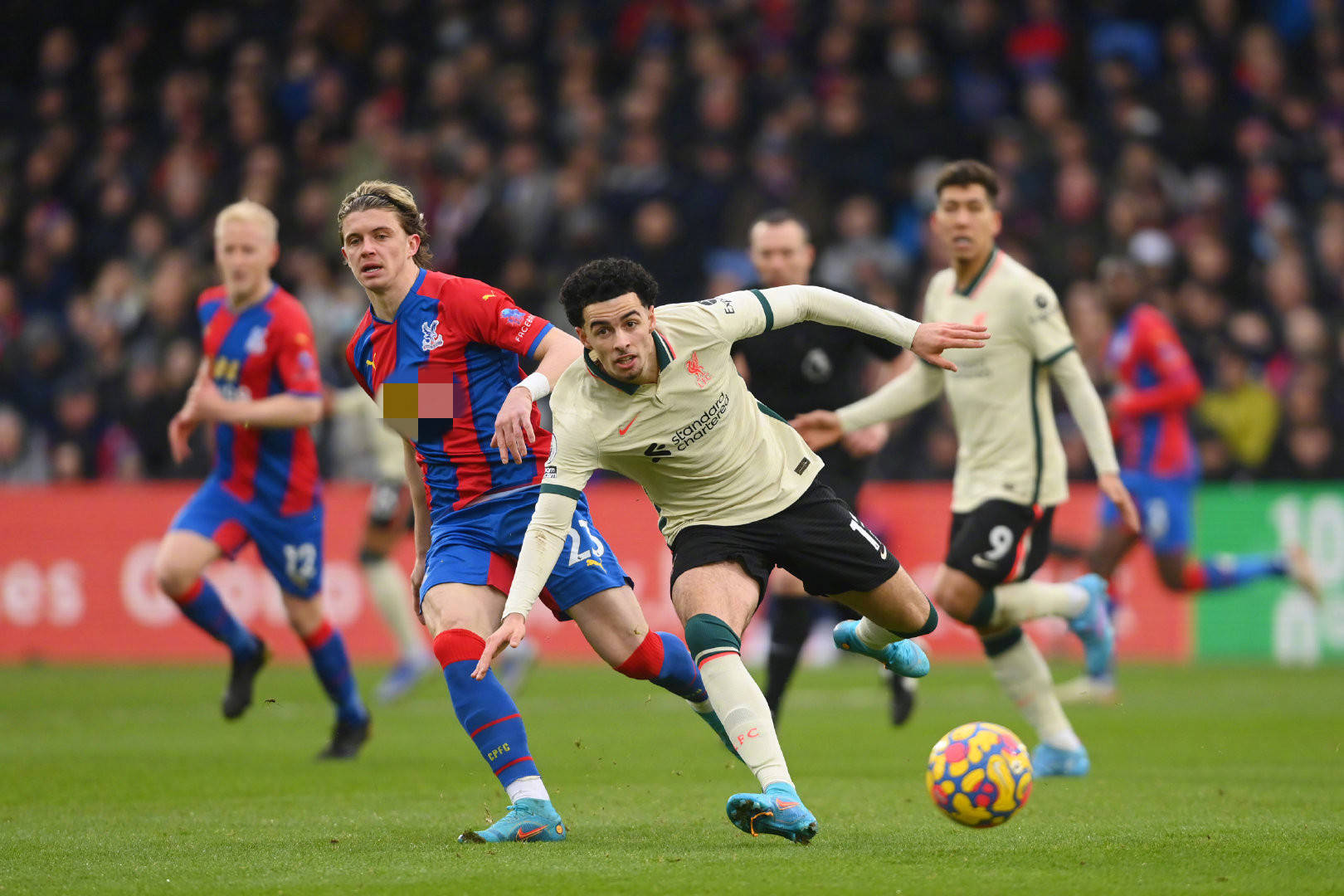 岁的挪威滑 岁的挪威滑